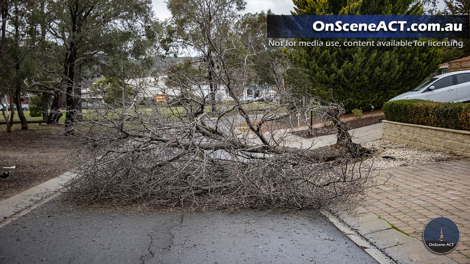 20200727 0930 canberra storm damage image 6