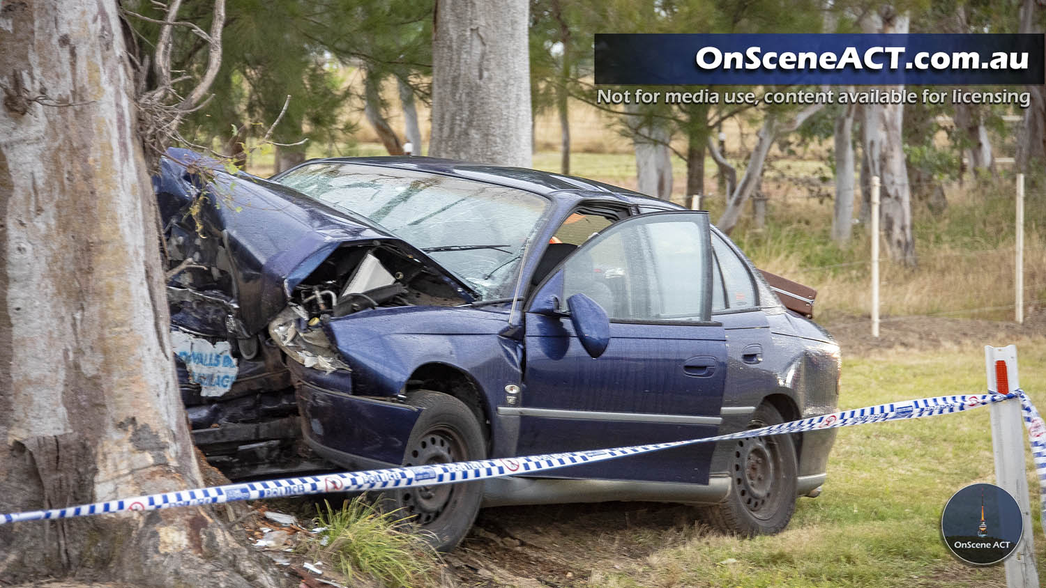 20201221 1800 wallaroo fatal image 3