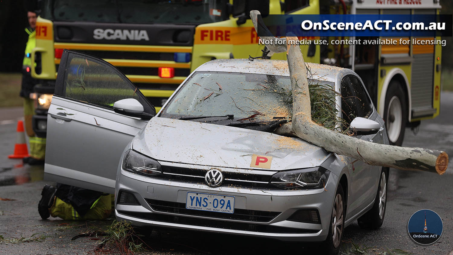 Driver escapes injury after tree falls on car in Red Hill