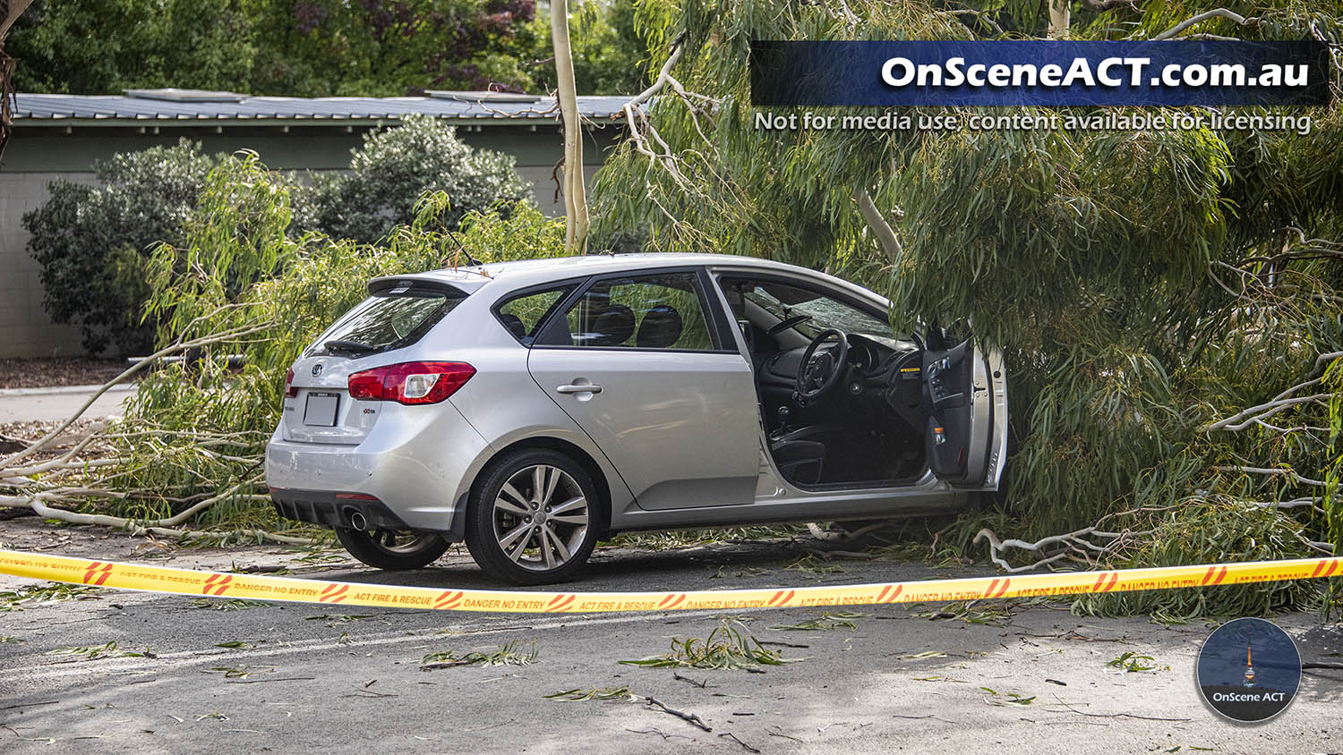 20210325 1600 ainslie tree on car image 3