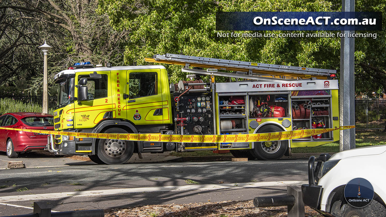 20210325 1600 ainslie tree on car image 9