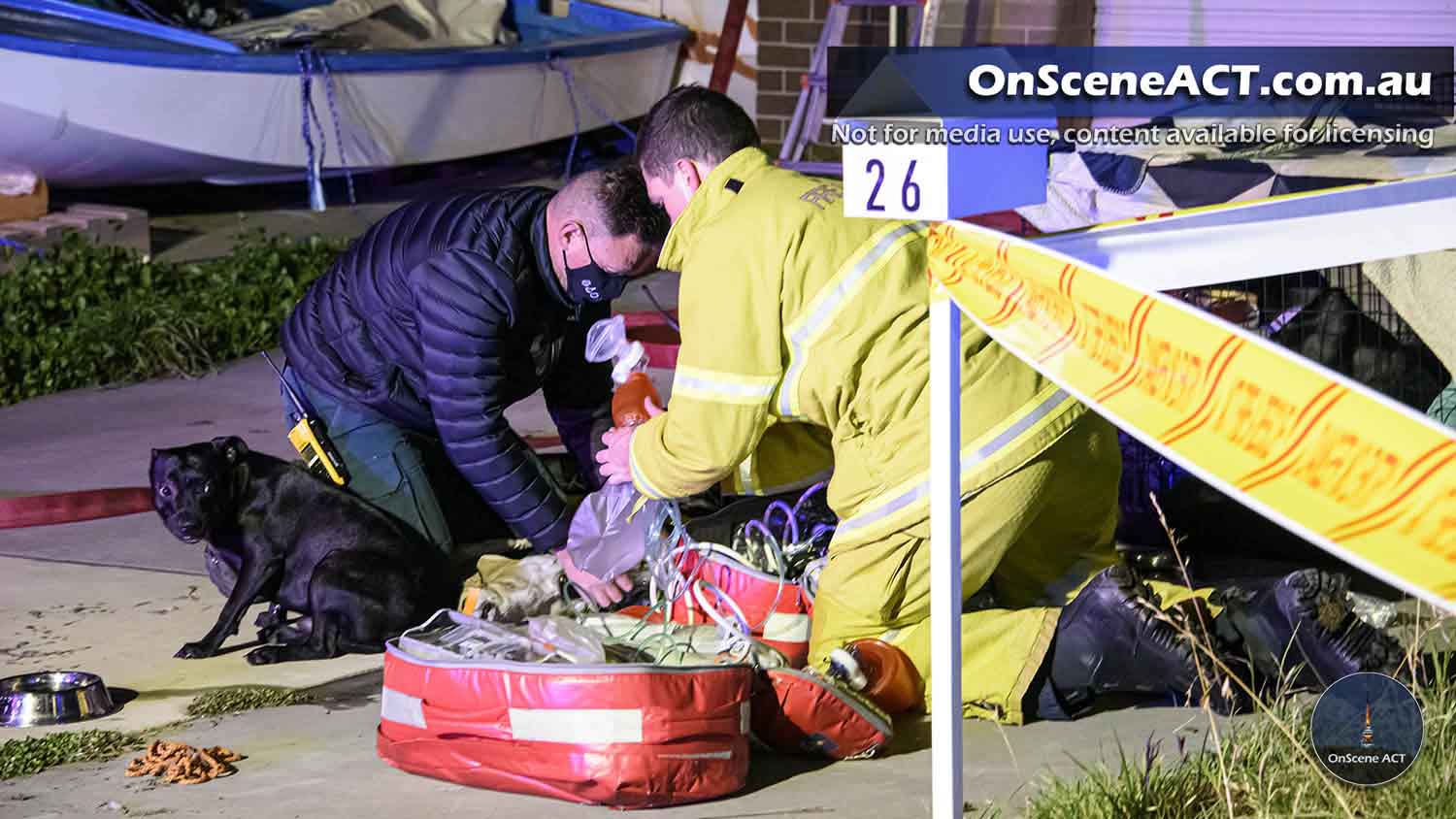 Dogs rescued after house fire in Throsby