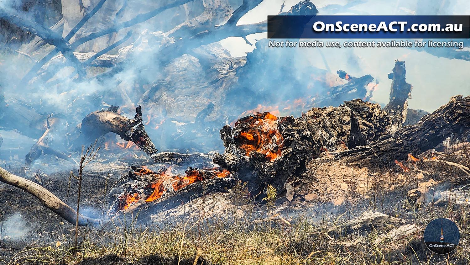 20230102 1500 sutton grass fire image 5