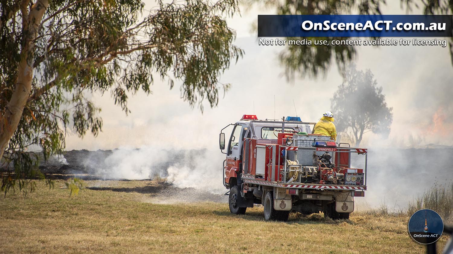 20230109 1300 jeir grass fire image 10