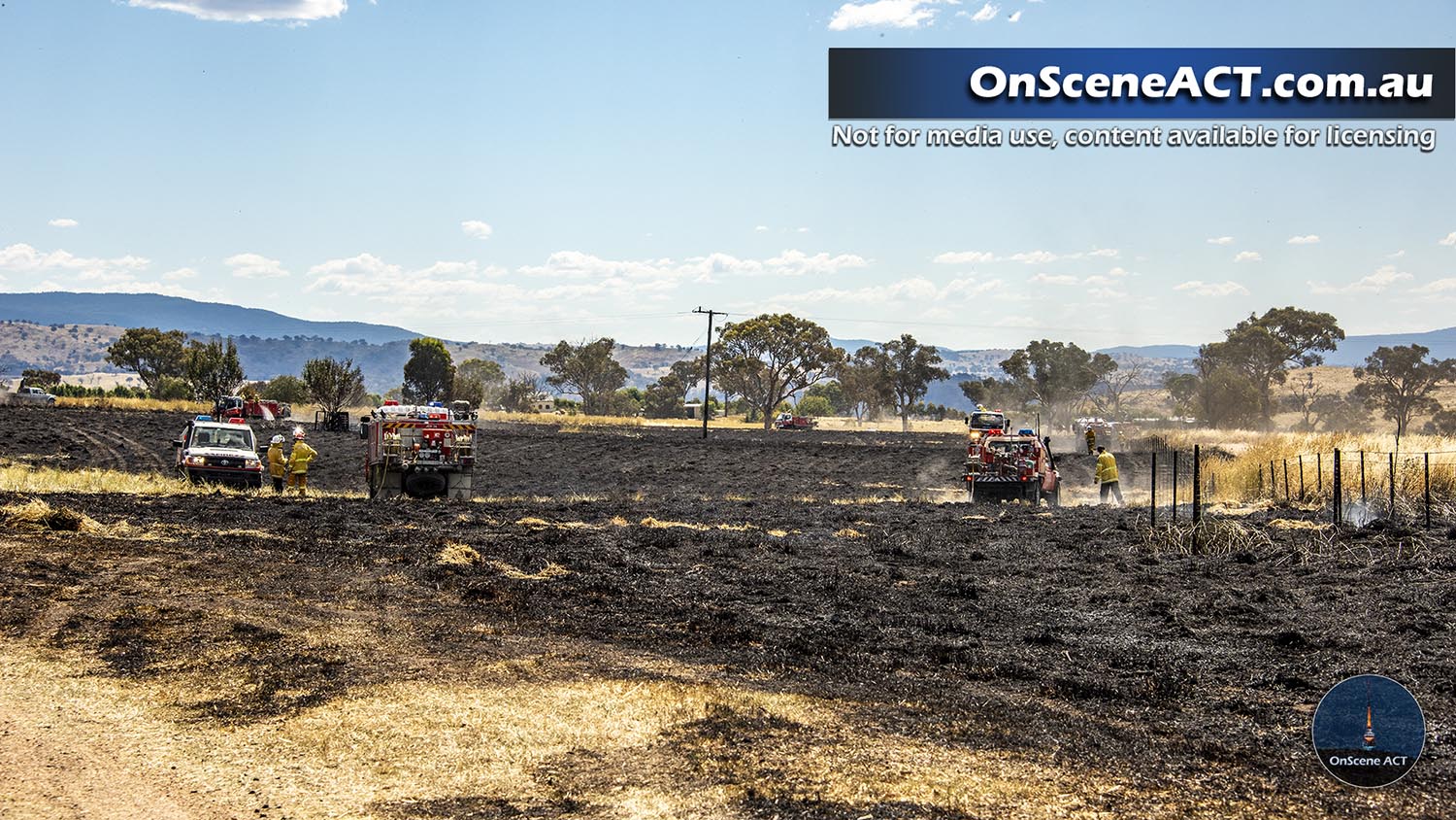 20230109 1300 jeir grass fire image 14