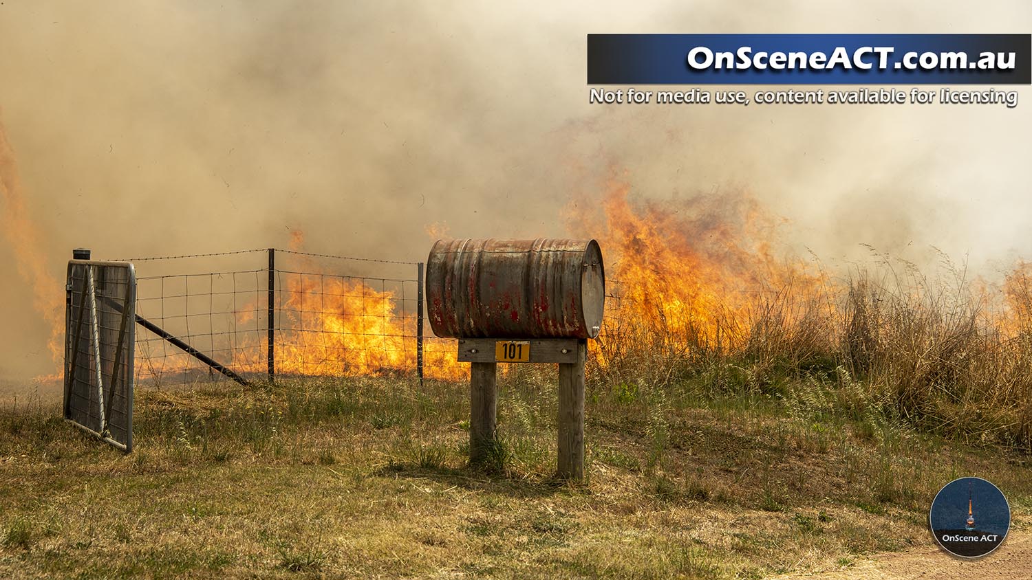 20230109 1300 jeir grass fire image 4