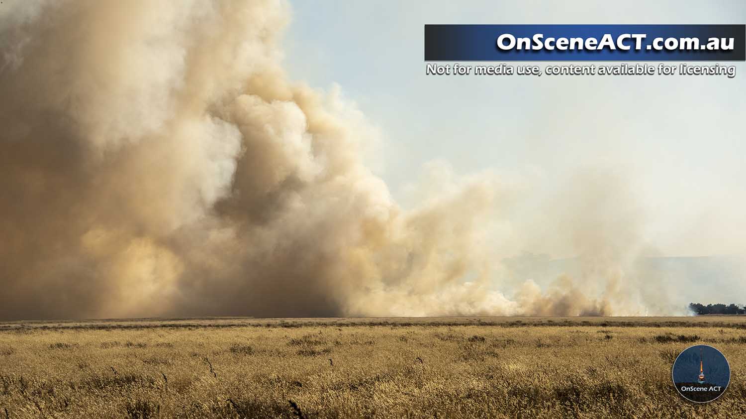 20230210 breadalbane grass fire image 6