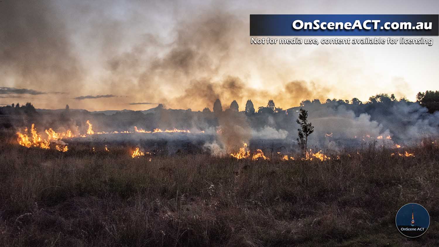 20230302 lady denman fire image 3