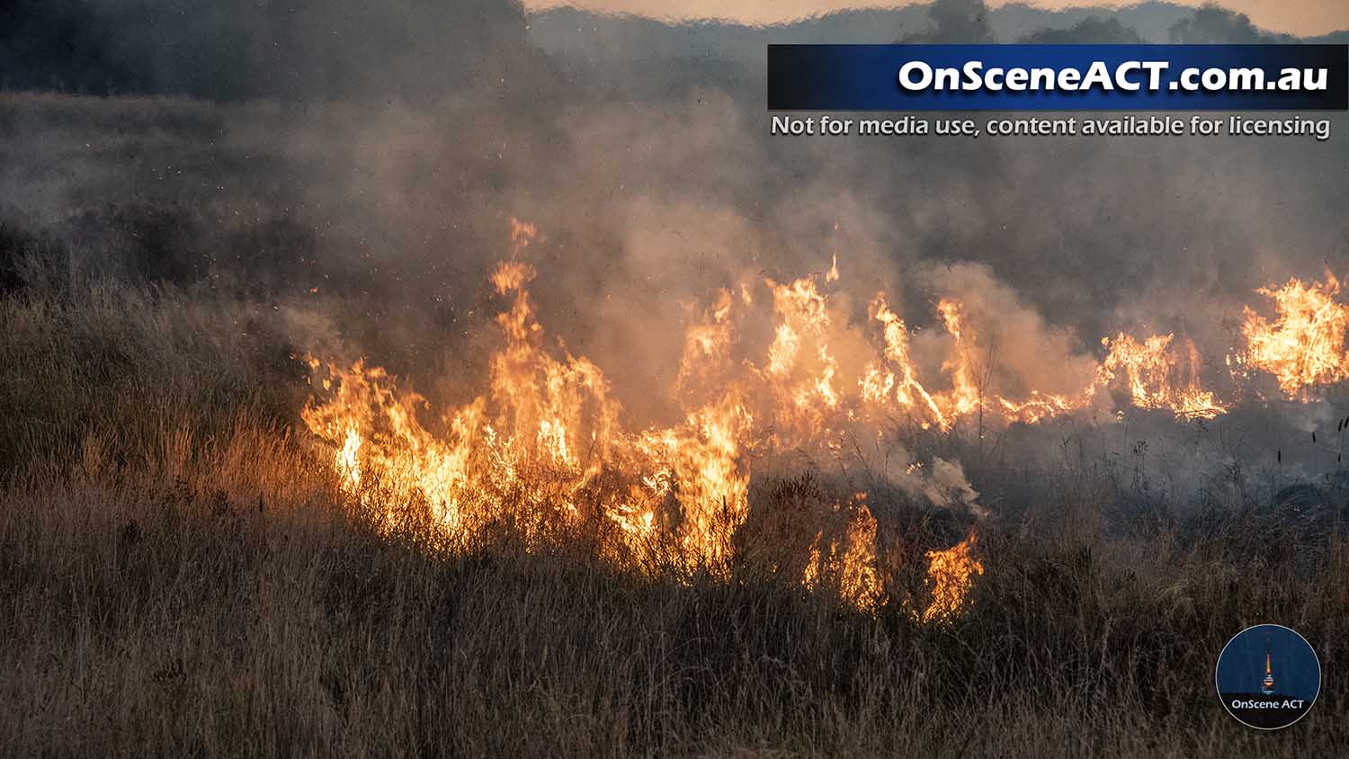 20230302 lady denman fire image 4