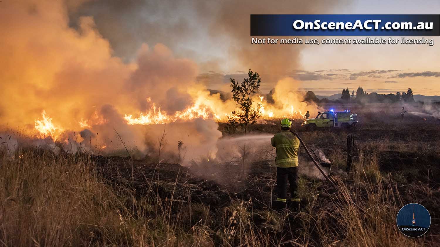 20230302 lady denman fire image 8