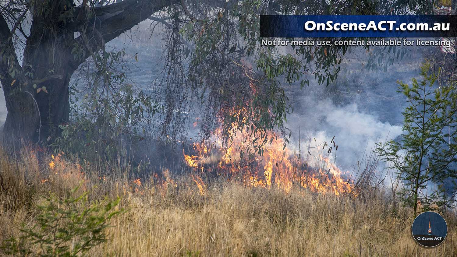 20230405 1400 bungendore grass fire image 2