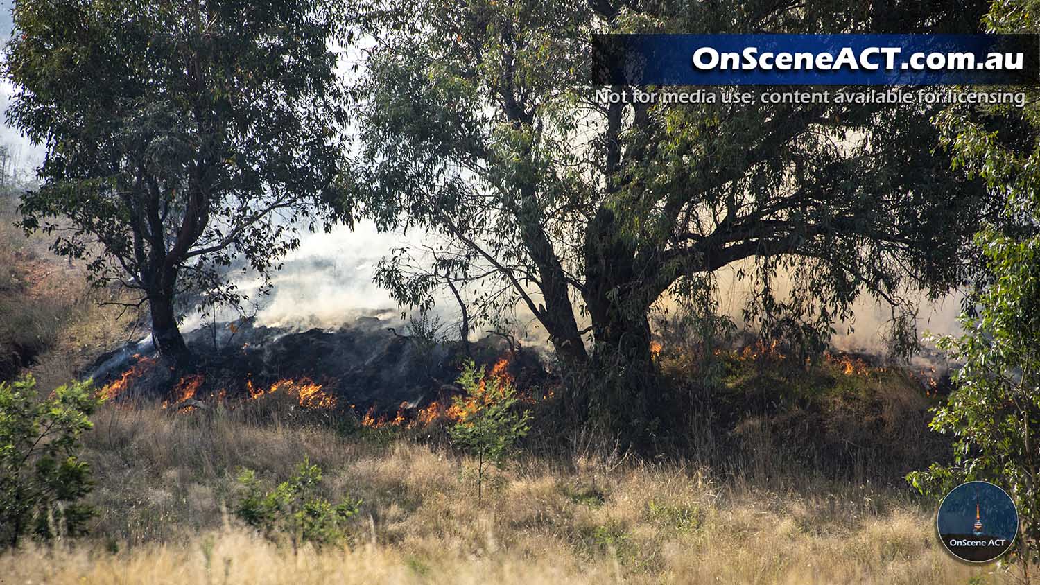 20230405 1400 bungendore grass fire image 5