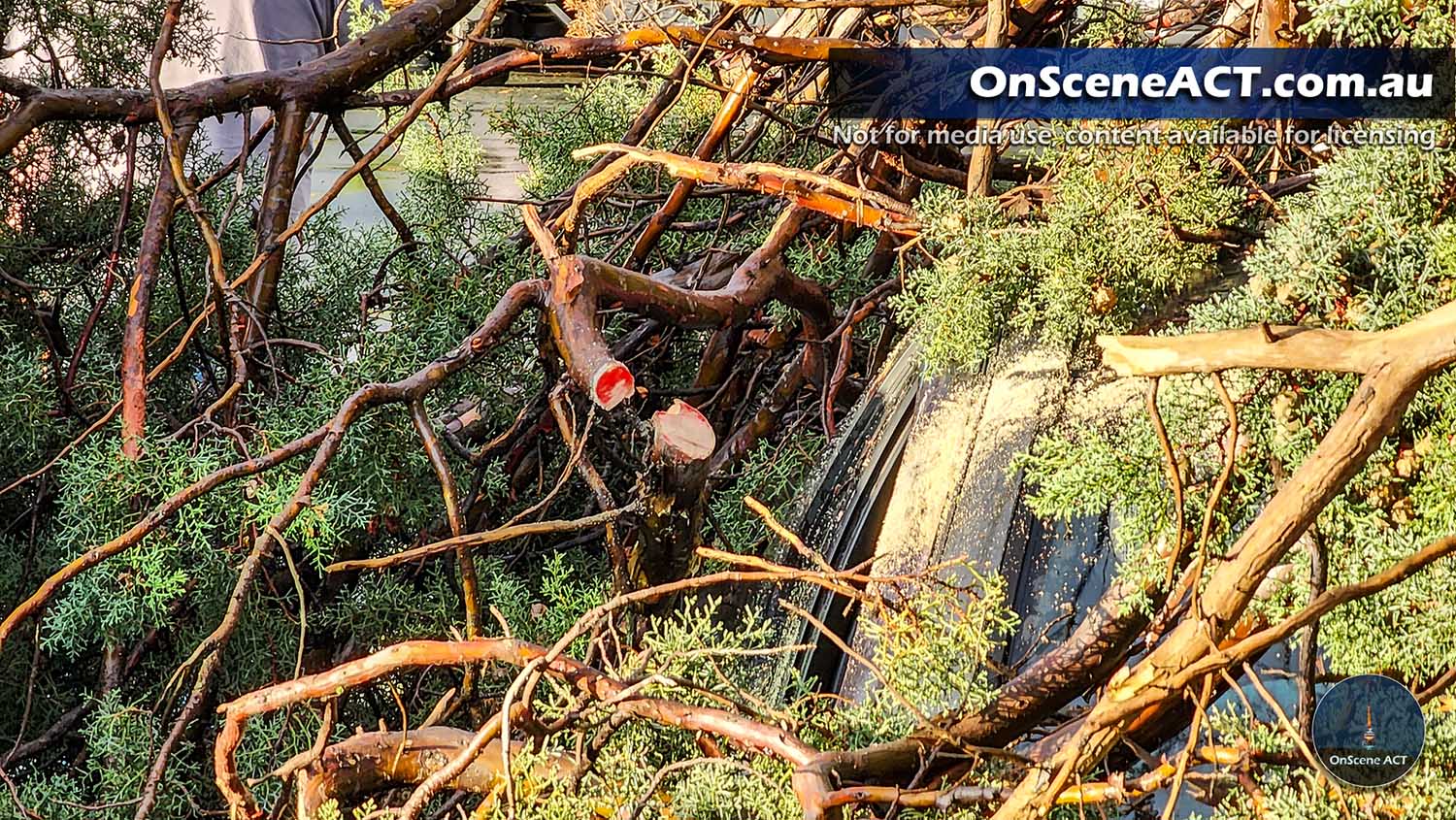 20230613 1600 queanbeyan storm incident image 7