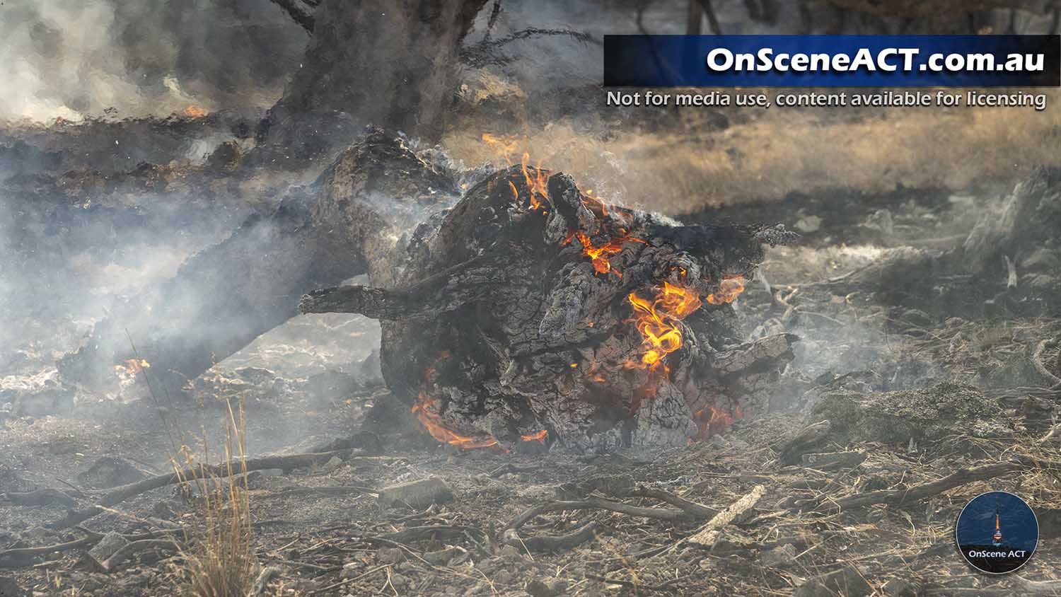 20230914 1600 colinton bushfire image 10