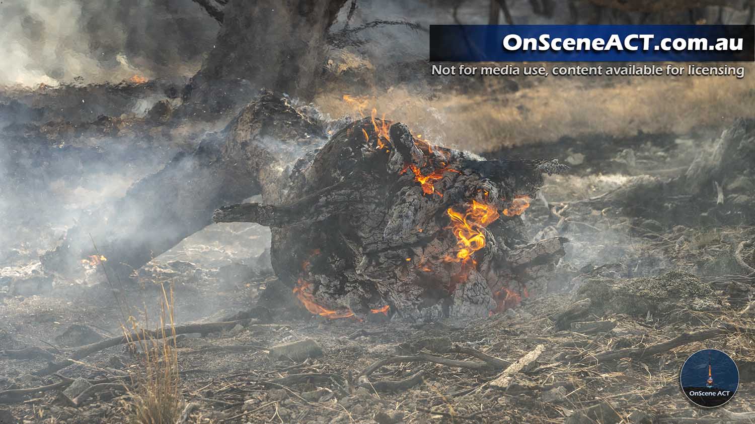 20230914 1600 colinton bushfire image 10