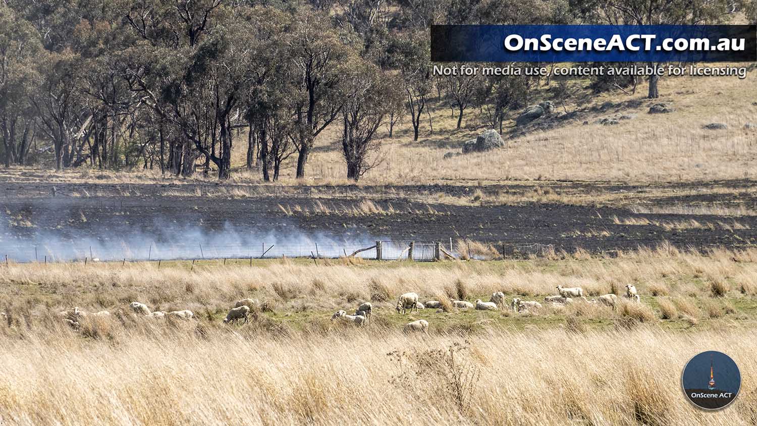 20230918 booth bushfire image 4