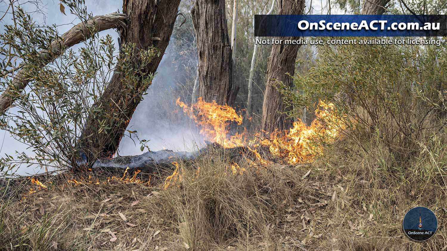 20231102 mayfield bushfire image 3