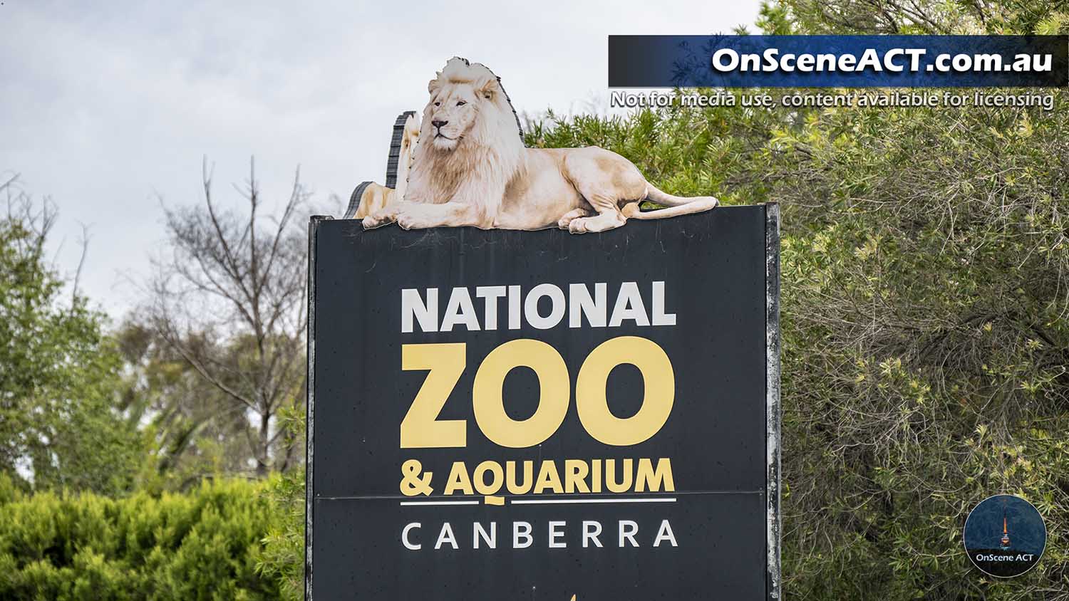 20231218 canberra zoo death image 4