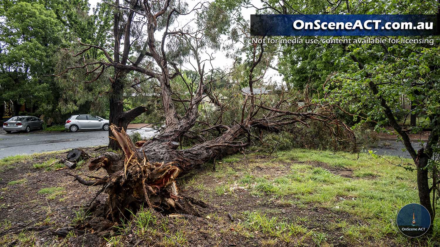 20231219 storm damage image 11