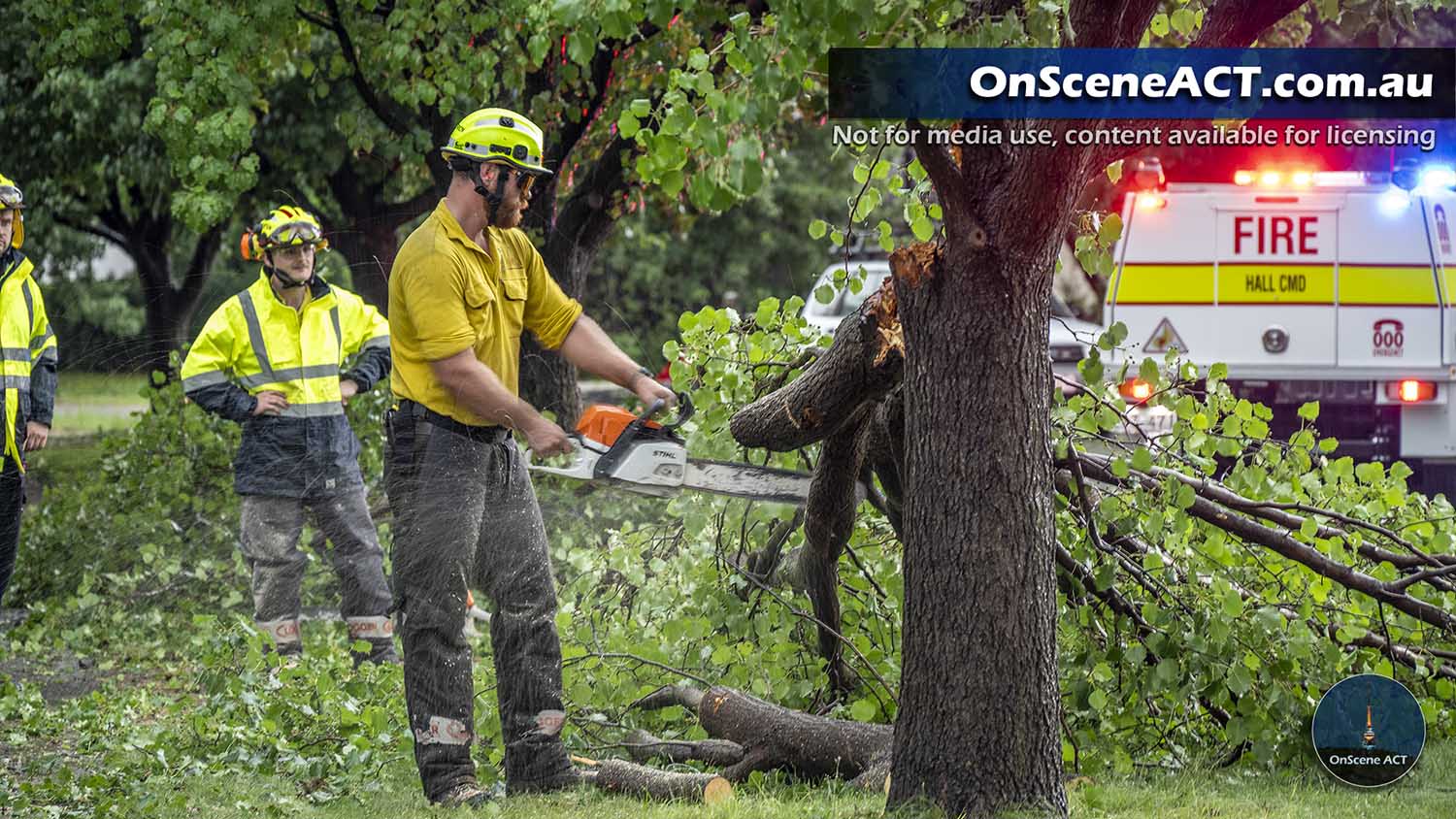 20231219 storm damage image 13