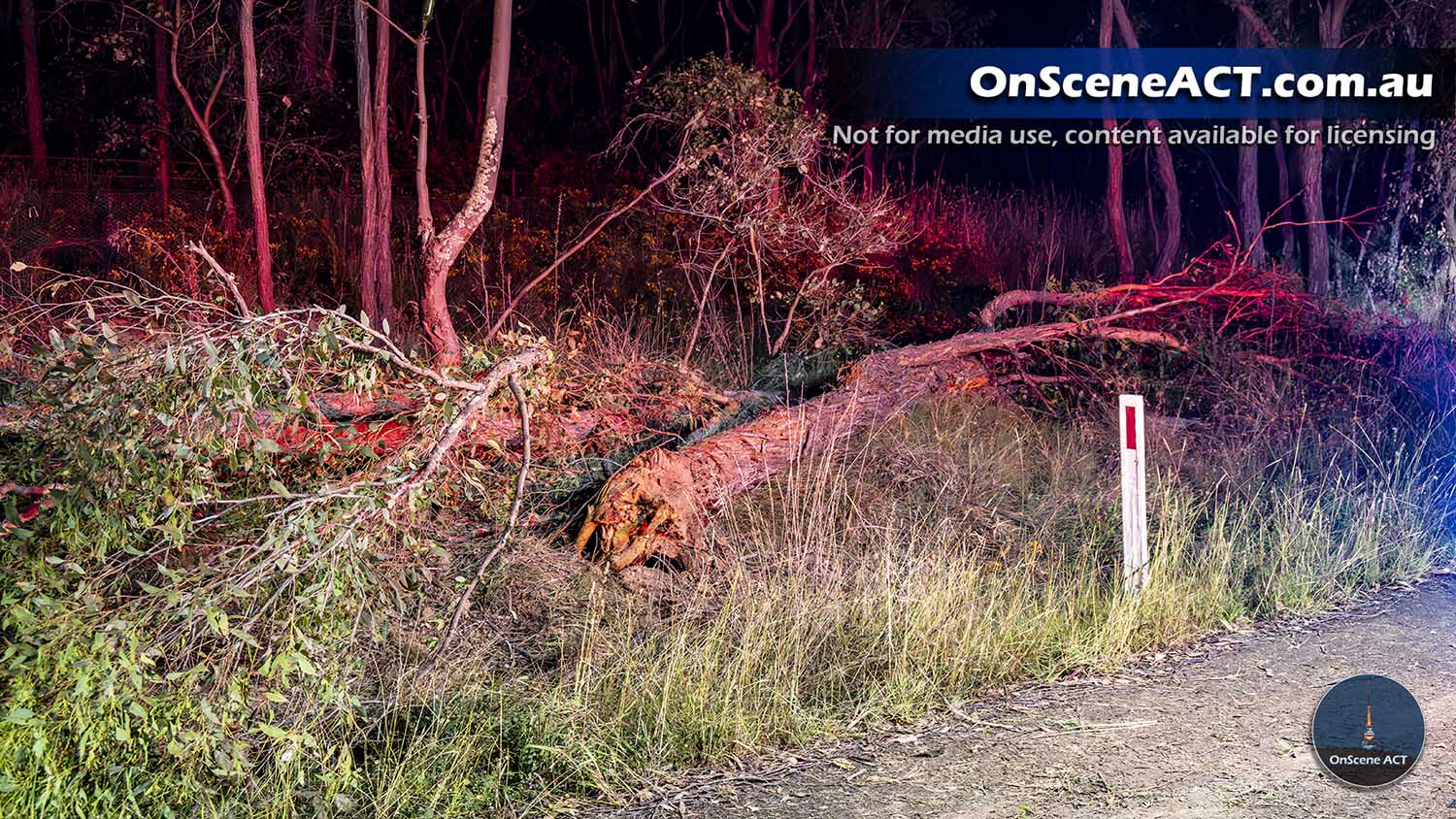 20240131 cotter road crash image 7